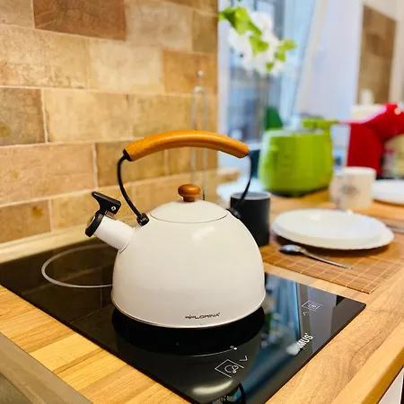 Luxury Ultacental Apartmán Kluž